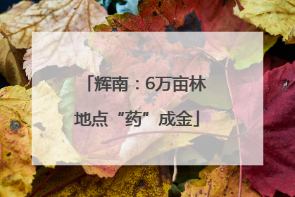 辉南：6万亩林地点“药”成金