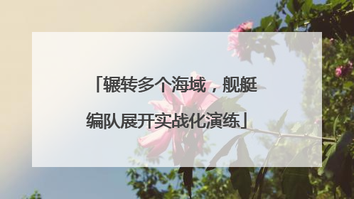 辗转多个海域，舰艇编队展开实战化演练