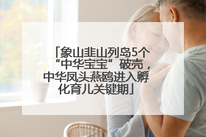 象山韭山列岛5个“中华宝宝”破壳，中华凤头燕鸥进入孵化育儿关键期