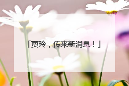 贾玲，传来新消息！