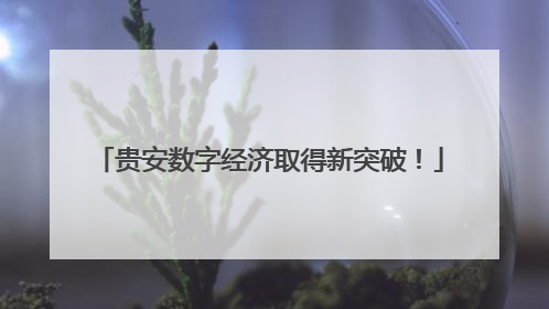 贵安数字经济取得新突破！