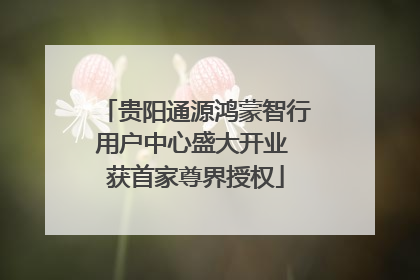 贵阳通源鸿蒙智行用户中心盛大开业 获首家尊界授权