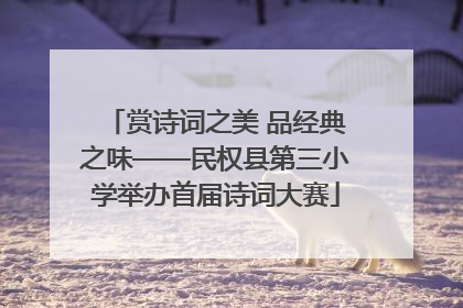 赏诗词之美 品经典之味——民权县第三小学举办首届诗词大赛