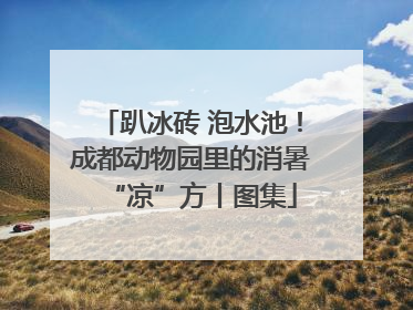 趴冰砖 泡水池！成都动物园里的消暑“凉”方丨图集