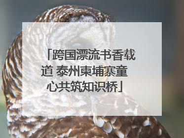 跨国漂流书香载道 泰州柬埔寨童心共筑知识桥