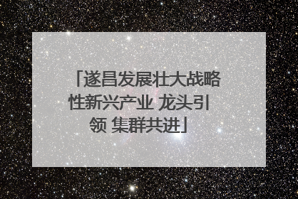 遂昌发展壮大战略性新兴产业 龙头引领 集群共进
