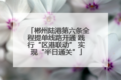 郴州陆港第六条全程提单线路开通 践行“区港联动” 实现“半日通关”