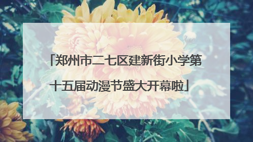 郑州市二七区建新街小学第十五届动漫节盛大开幕啦