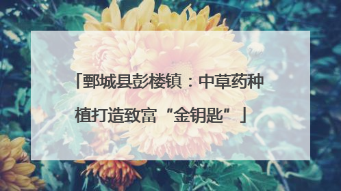鄄城县彭楼镇：中草药种植打造致富“金钥匙”