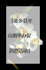 金乡县羊山镇举办促消费活动