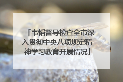 韦韬督导检查全市深入贯彻中央八项规定精神学习教育开展情况