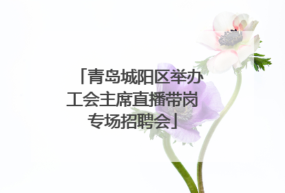 青岛城阳区举办工会主席直播带岗专场招聘会