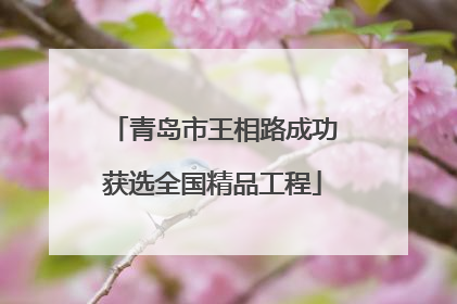 青岛市王相路成功获选全国精品工程