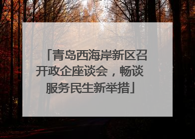 青岛西海岸新区召开政企座谈会，畅谈服务民生新举措