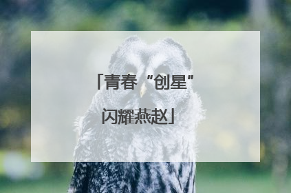 青春“创星” 闪耀燕赵
