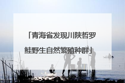 青海省发现川陕哲罗鲑野生自然繁殖种群