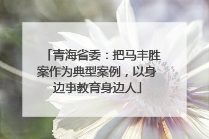 青海省委：把马丰胜案作为典型案例，以身边事教育身边人