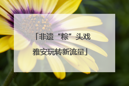 非遗“粽”头戏 雅安玩转新流量