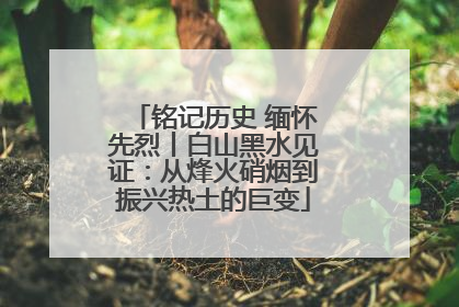 铭记历史 缅怀先烈丨白山黑水见证：从烽火硝烟到振兴热土的巨变