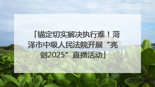 锚定切实解决执行难！菏泽市中级人民法院开展“亮剑2025”直播活动