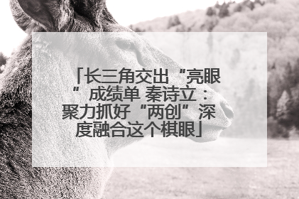 长三角交出“亮眼”成绩单 秦诗立：聚力抓好“两创”深度融合这个棋眼