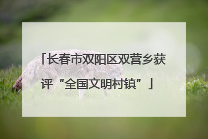 长春市双阳区双营乡获评“全国文明村镇”