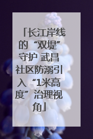 长江岸线的“双堤”守护 武昌社区防溺引入“1米高度”治理视角