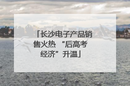 长沙电子产品销售火热 “后高考经济”升温