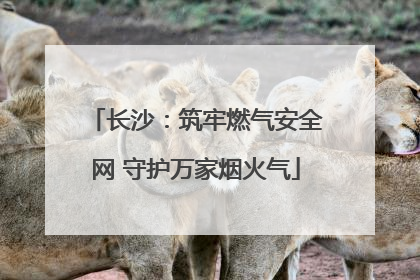 长沙：筑牢燃气安全网 守护万家烟火气