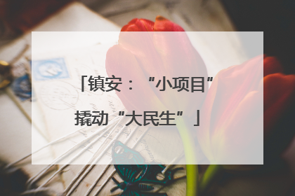 镇安：“小项目”撬动“大民生”