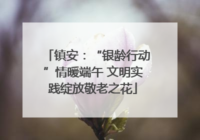 镇安：“银龄行动”情暖端午 文明实践绽放敬老之花