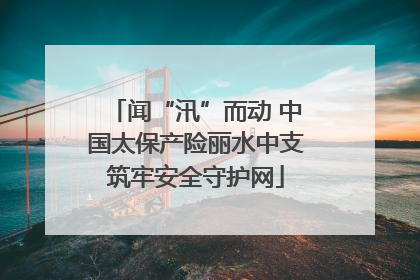 闻“汛”而动 中国太保产险丽水中支筑牢安全守护网