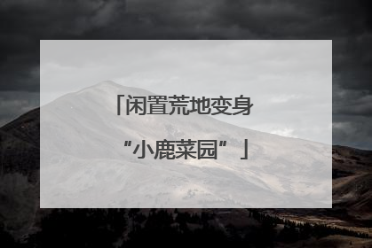 闲置荒地变身“小鹿菜园”