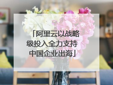 阿里云以战略级投入全力支持中国企业出海