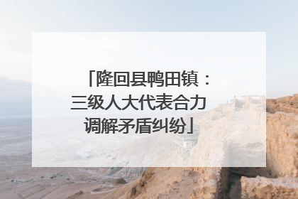 隆回县鸭田镇：三级人大代表合力调解矛盾纠纷