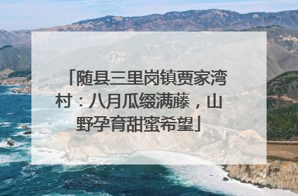 随县三里岗镇贾家湾村：八月瓜缀满藤，山野孕育甜蜜希望