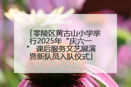 零陵区黄古山小学举行2025年“庆六一” 课后服务文艺展演暨新队员入队仪式