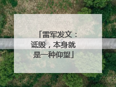 雷军发文：诋毁，本身就是一种仰望