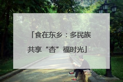 食在东乡：多民族共享“杏”福时光