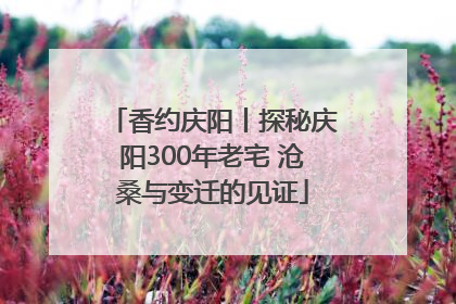 香约庆阳丨探秘庆阳300年老宅 沧桑与变迁的见证