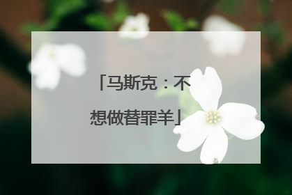 马斯克：不想做替罪羊