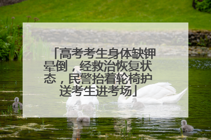 高考考生身体缺钾晕倒，经救治恢复状态，民警抬着轮椅护送考生进考场