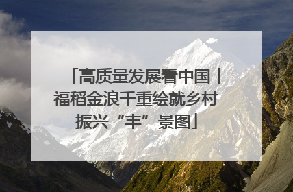 高质量发展看中国丨福稻金浪千重绘就乡村振兴“丰”景图