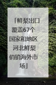 鲜梨出口覆盖67个国家和地区 河北鲜梨俏销海外市场