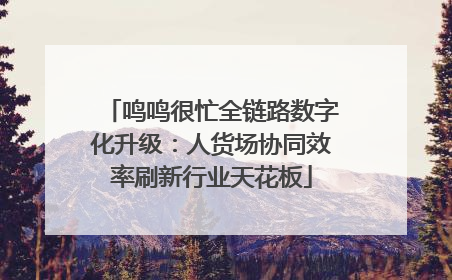 鸣鸣很忙全链路数字化升级：人货场协同效率刷新行业天花板