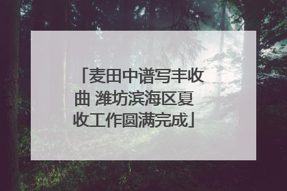 麦田中谱写丰收曲 潍坊滨海区夏收工作圆满完成
