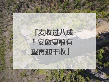 麦收过八成！安徽夏粮有望再迎丰收