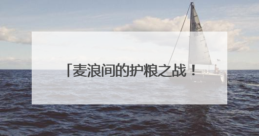 麦浪间的护粮之战！河南封丘上演农机手减损技能巅峰对决