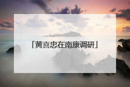 黄喜忠在南康调研