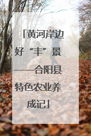 黄河岸边好“丰”景——合阳县特色农业养成记